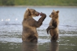 Photo_HD_5