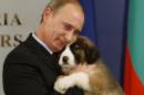 Top 10 des rencontres animalières de Poutine