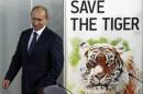 Poutine cite Gandhi pour sauver le tigre de la «catastrophe»