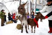 Julbock, le bouc de Noël Julbock, le bouc de Noël