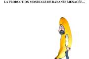 Caricatures du 20 au 26 avril 2014 Caricatures du 20 au 26 avril 2014
