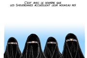 Caricatures du 25 au 31 janvier 2015 Caricatures du 25 au 31 janvier 2015