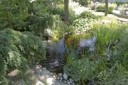 Des carpes dans le jardin d'eau - image 4.0 Jean Brûlé, de Jardins Aquadesign, affirme que les... (Photo Ivanoh Demers, La Presse) - image 4.0