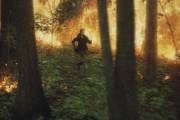 Un studio québécois s'illustre dans le film The Hunger Games - image 2.0 «Beaucoup de scènes ont été tournées dans de... (PHOTO FOURNIE PAR LIONS GATE) - image 2.0