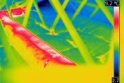 Du frimas dans les combles... - image 2.0 Ces images montrent deux photos de la même... (Photo fournie par Thermographie GG) - image 2.0