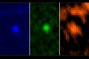 Images de l'astéroïde Apophis captées par le télescope Herschel de... (Photo ESA) - image 1.0