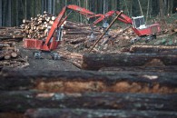 Softwood Lumber 20161006 Softwood Lumber 20161006