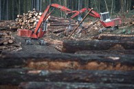 Softwood Lumber 20161006 Softwood Lumber 20161006