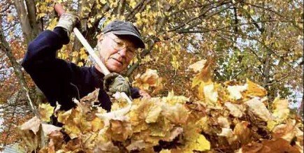 Menus travaux d'automne au jardin Il est particulièrement important de ramasser les feuilles... (Photothèque Le Soleil)