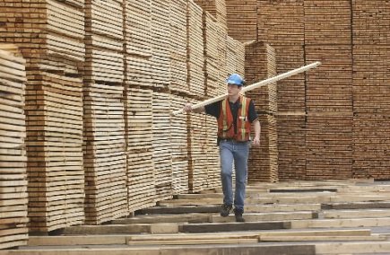 C.-B.: les importations de bois vers la Chine en hausse Le bois canadien est principalement utilisé en Chine...