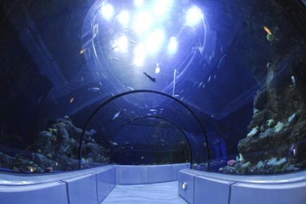 quebec aquarium