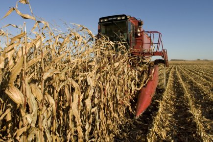 Récoltes 2012: l'année la plus clémente depuis 1999 Les intempéries et les autres aléas de la... (Photo Robert Skinner, Archives La Presse)