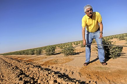 Israël: virage vers une économie verte Naty Barak, directeur du développement durable de Netafim,... (Photo Ahikam Seri, collaboration spéciale)