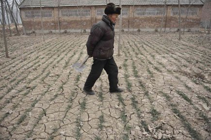 Les prix du blé bondissent après un avertissement de l'ONU L'Agence de l'ONU pour l'alimentation et l'agriculture (FAO)... (Photo: Sheng Li, Reuters)