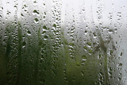 Moisissures: utile hygromètre La plupart du temps, il n'y a pas... (Photo: practicalowl, Flickr)