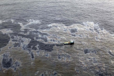 DÉVELOPPEMENT DURABLE AU BRÉSIL dans BRESIL 426944