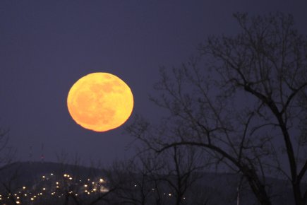 Une «super pleine Lune», qui apparaissait particulièrement grosse et brillante... (Photo Bernard Brault, La Presse)