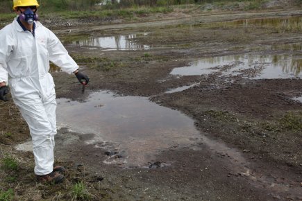 Sols contaminés, saules décontaminateurs Le professeur Mohamed Hijri fait un prélèvement sur... (Photo fournie par l'Université de Montréal)