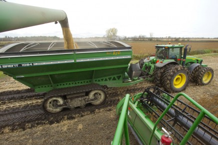 Sécheresse: les agriculteurs québécois en bonne position Les producteurs québécois de maïs-grain et de soya,... (Photo Alain Roberge, Archives La Presse)