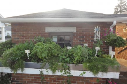 Des toits verts partout Ce potager de Saint-Jean-sur-Richelieu, accessible en montant trois... (PHOTO FOURNIE PAR DANIEL POULIN)