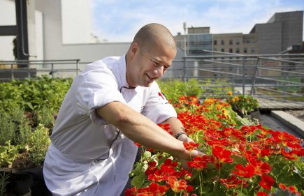 Un jardin au boulot Depuis quelques années, des précurseurs offrent à leur... (PHOTO FOURNIE PAR LE PALAIS DES CONGRÈS)