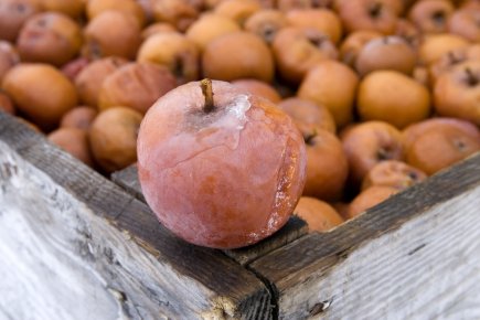 Réglement sur le cidre: vers une plus grande libéralisation Le gouvernement québécois a assoupli sa réglementation quant... (Photo Alain Roberge, archives La Presse)
