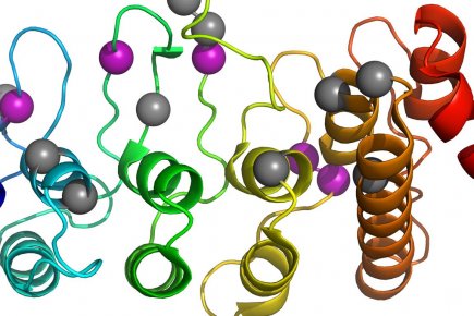 Les deux soeurs de Harvard: des travaux de recherche fascinants Cette illustration n'est pas un nouveau jouet pour...