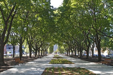 Les quartiers montréalais courtisent les acheteurs Le quartier Sainte-Marie possède plusieurs atouts, dont le... (Photo fournie par Michel Pinault/Arrondissement Ville-Marie)