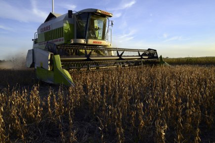 Le biodiesel argentin en pleine crise L'Argentine est le premier producteur mondial de biodiesel,... (Photo : Diego Giudice, archives Bloomberg)