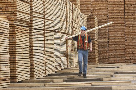 Secteur manufacturier: le recul de la devise arrive à point nommé Le secteur des produits du bois, industrie d'importance... (Photo: archives PC)