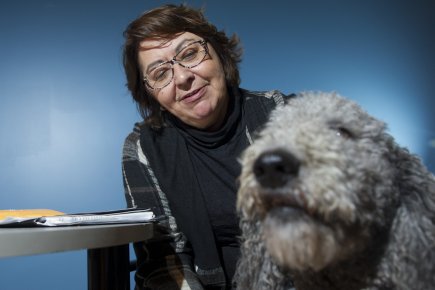 Emmener son chien au bureau La présidente-directrice générale de l'Association québécoise de la... (PHOTO OLIVIER JEAN, LA PRESSE)