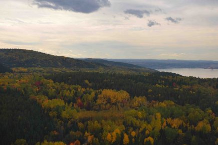 Résolu perd d'importants certificats de foresterie durable Résolu détient au Canada 13 millions d'hectares de... ((Archives))