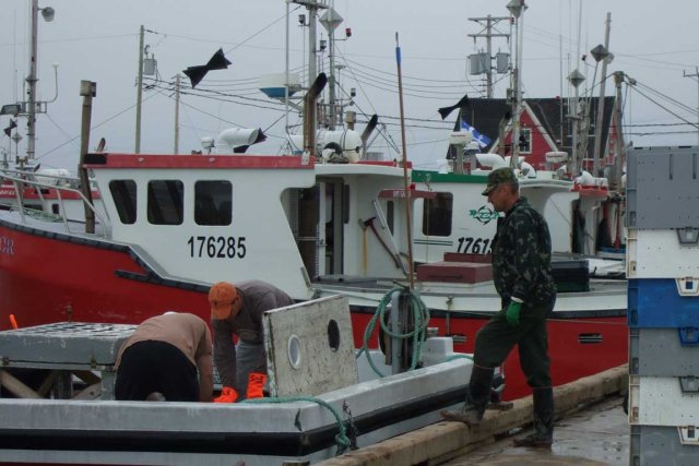 La pêche sur la rivière du conduit de vidéo