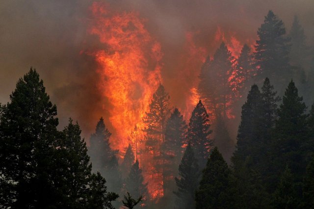 research paper natural disasters research paper natural disasters