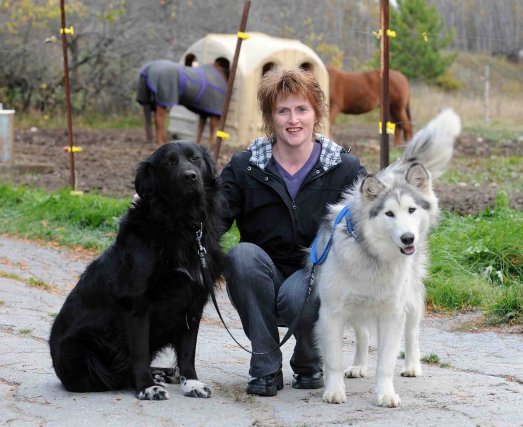 (CHICOUTIMI) Un Lot De Chiens De Races Variées Sera Vendu Par Un Huissier Cette Semaine, à Dolbeau-Mistassini, (CHICOUTIMI) Un lot de chiens