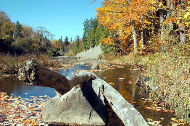 Aquaresponsabilité: un A+ pour Québec L'étude vise à évaluer comment la Ville de... (Le Soleil, Steeve Deschênes)