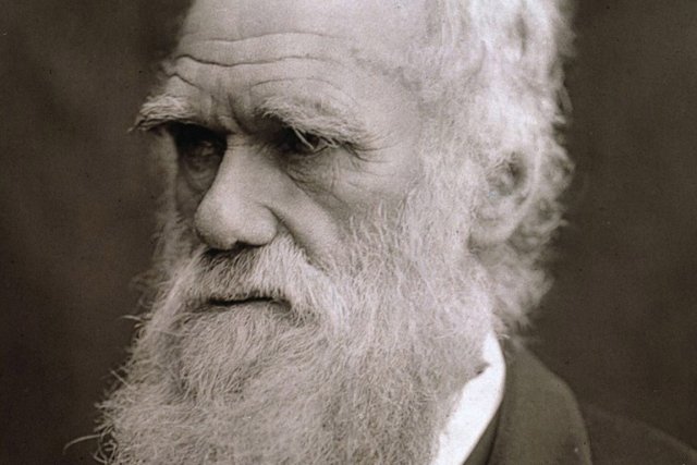 Charles Darwin reçoit 4000 votes contre un candidat créationniste