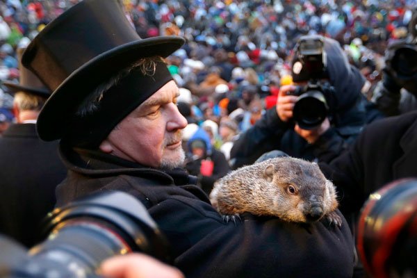 Le printemps sera tardif selon la marmotte Fred La marmotte Fred ne s'entend pas avec ses... (ASSOCIATED PRESS)