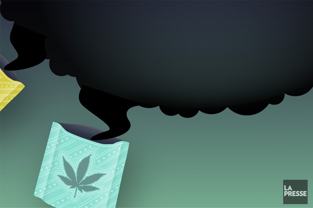 Les autoritÃ©s de santÃ© publique sont aux aguets. Le cannabis synthÃ©tique,... (Illustration La Presse)
