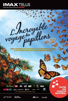 L' Incroyable voyage des papillons 3D