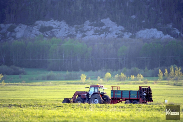 Accaparement des terres agricoles: Pangea n'a pas convaincu le PQ L'entreprise Pangea définit comme une entreprise qui s'adjoint comme... (Archives)