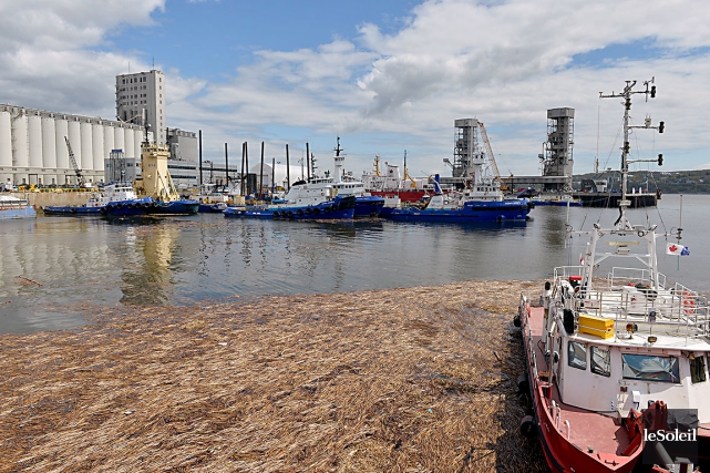 Agrandissement du port de Québec: Beauport 2020 «manque de clarté», dit le député Côté La première phase du projet d'agrandissement du port... (Photothèque Le Soleil, Pascal Ratthé)