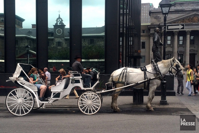 Монреаль вводит запрет на прогулочные конные экипажи по городу