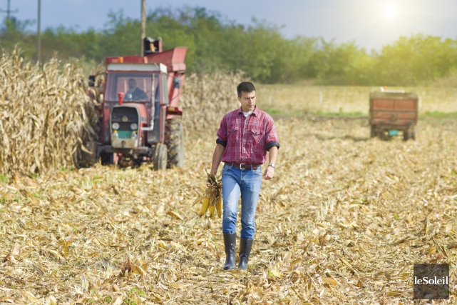 Des agriculteurs québécois perdent leur cause en Cour suprême Des fermiers québécois qui adhèrent au programme ASRA... (Photothèque Le Soleil)