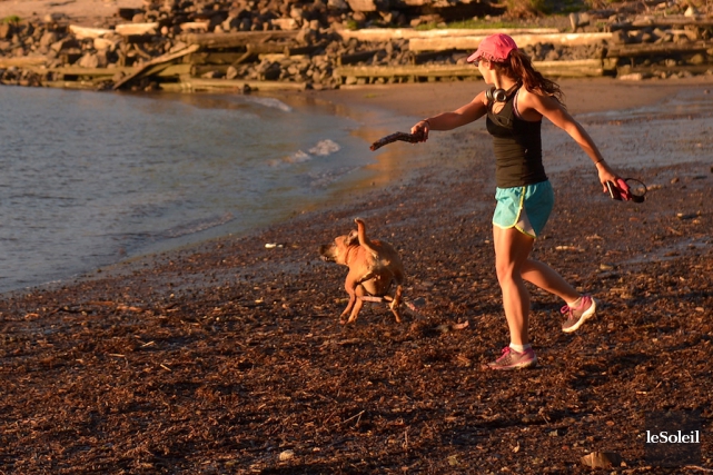 Une jeune femme fait courir son chien sur... (Le Soleil, Yan Doublet)