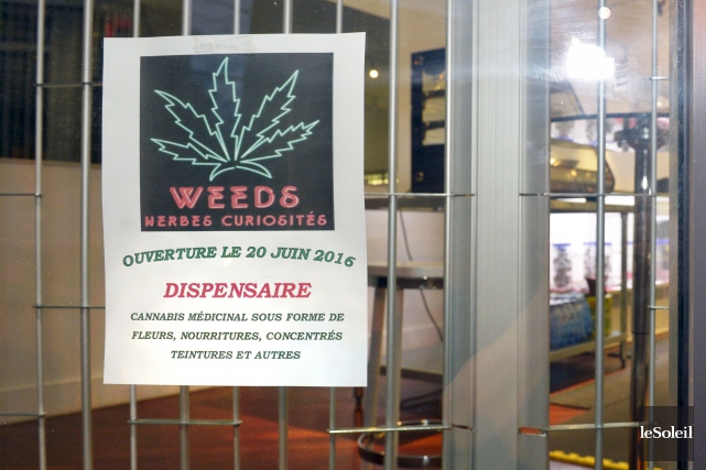 site de rencontre cannabis