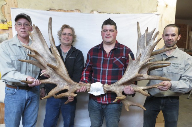 Un panache près du record du monde ? Le taxidermiste de Saint-Paul-d'Abbotsford et mesureur officiel pour... (fournie)