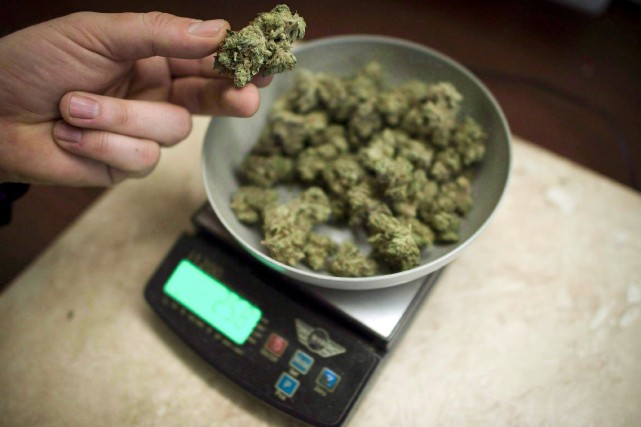 Marijuana Revenues 20160128 La publication de ce rapport sur le site... (archives La Presse canadienne)