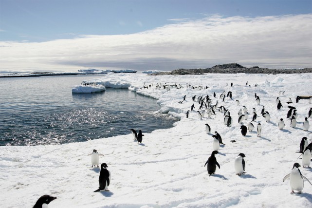 voyage nouvelles quand tourisme denature monde voyage nouvelles quand tourisme denature monde