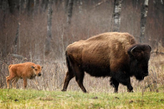 la rencontre chemin qui se fait en marchant